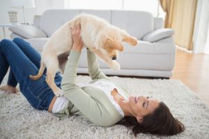 Play On Carpet Remove Dog Urine Odor And Stains From Carpet And Hardwoods
